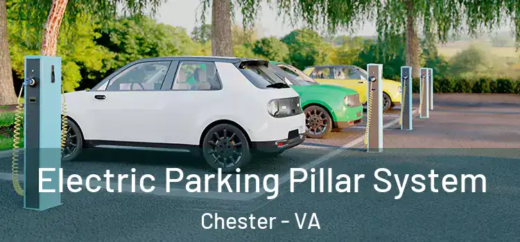 Electric Parking Pillar System Chester - VA