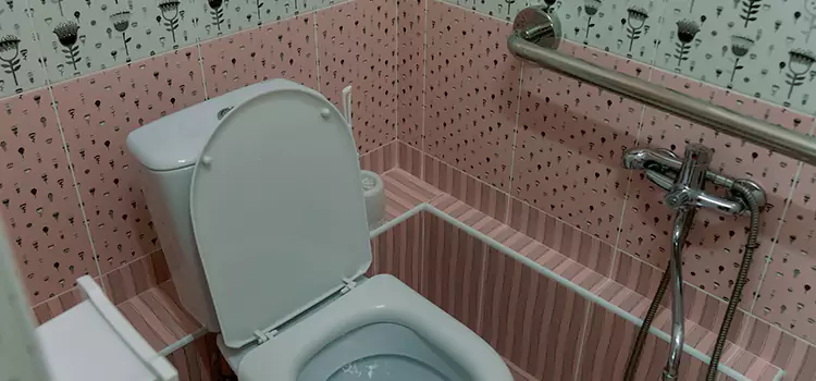 Meeting Diverse Needs With Accessible Restroom Solutions in Chester, VA