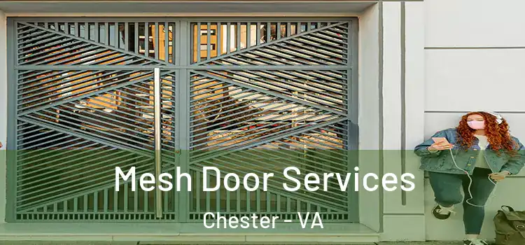 Mesh Door Services Chester - VA