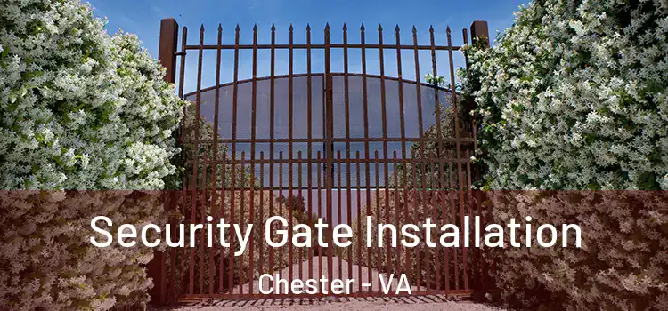 Security Gate Installation Chester - VA